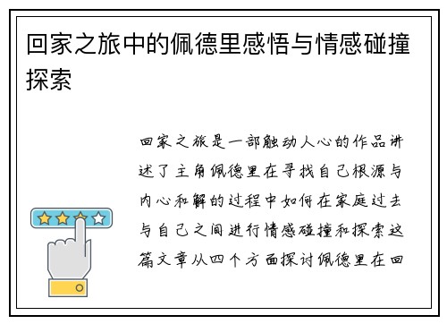 回家之旅中的佩德里感悟与情感碰撞探索
