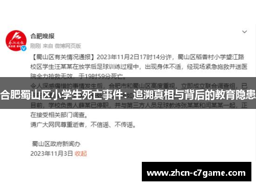 合肥蜀山区小学生死亡事件:追溯真相与背后的教育隐患 合肥蜀山区小学生死亡事件:追溯真相与背后的教育隐患