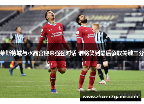 莱斯特城与水晶宫迎来强强对话 谁将笑到最后争取关键三分 莱斯特城与水晶宫迎来强强对话 谁将笑到最后争取关键三分
